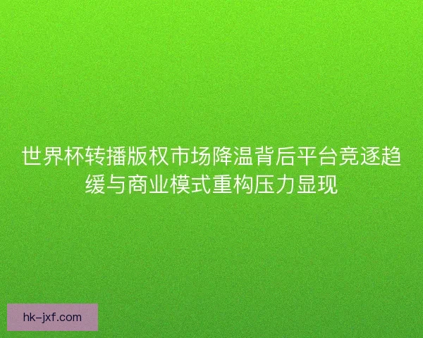 世界杯转播版权市场降温背后平台竞逐趋缓与商业模式重构压力显现